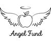  Angel Fund